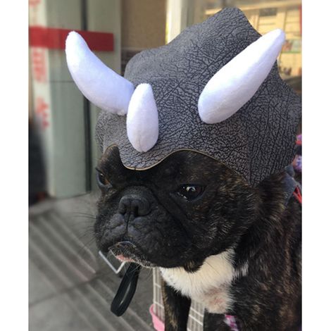 Haustier-Kopfbedeckung Triceratops Haustierhut Lustige Haustierkleidung Hunde- und Katzenkostüm Partykleidung Cosplay Niedlicher Horn-Kopfschmuck (1/3)