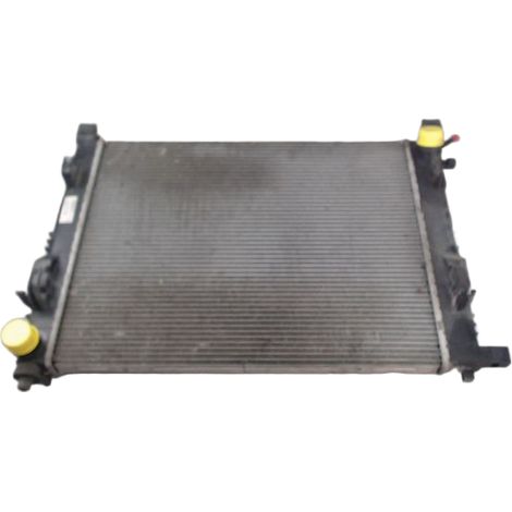 [PRODUIT D'OCCASION] Radiateur DACIA Logan ♻️ Ref Oe. 214107326r - Garantie à vie (1/3)