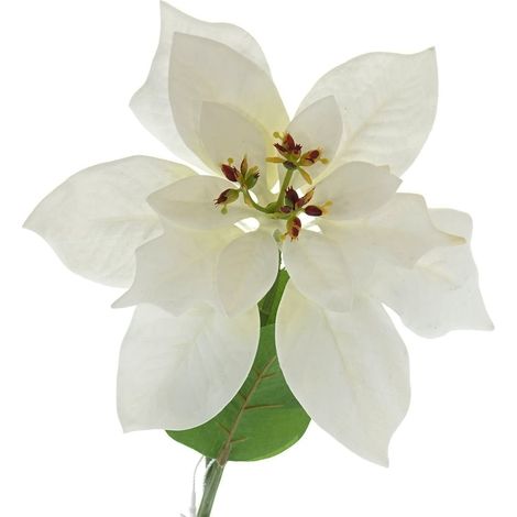 GASPER Weihnachtsstern - Poinsettie Weiß 60 cm - Kunstblumen (1/5)