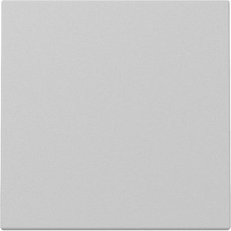 Gira Wippe System 55, Grau matt, 3296015