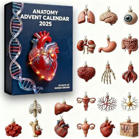 Calendrier de l'Avent Anatomie : 24 décorations uniques sur le thème de l'anatomie humaine pour les passionnés de sciences et les décorations de Noël (1/4)