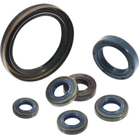 ALPINA Paraolio albero motore STAR VIP XB BC 25-50cc motosega SP G P PR 460 520 320353