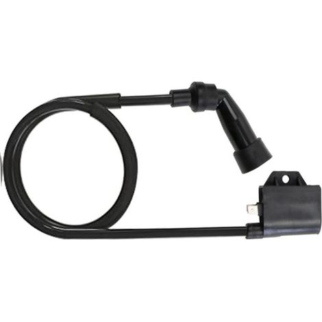 Zündspule 03430-055. Passend für Arctic Cat 400 2003-2007 4x4 (1/4)
