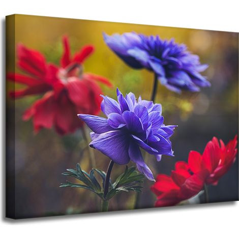 Impression sur toile Botanique Fleurs sauvages 40x30 cm