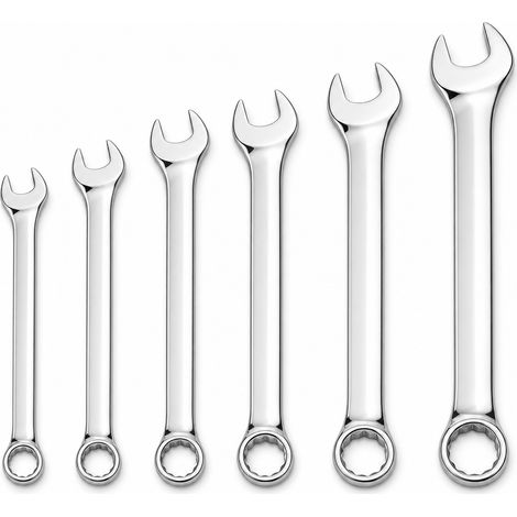 Set of 6 combination spanners with ring and open end, mirror finish (1/5)