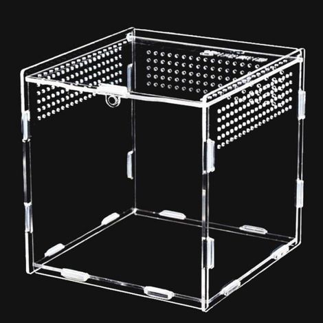 Terrarium Acrylique, Conteneur de Acrylique Transparent à 360 ° pour Araignée, Scorpion, Scarabée, Mante Religieuse, Terrarium (1/5)