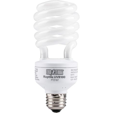 Ampoule Reptiglo 5.0 - 1 Unité - Fluocompact 25W - Rayons UVB Modérés - Reptiles Tropicaux (1/4)