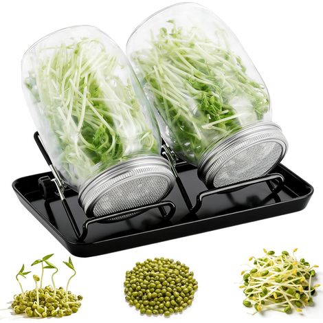 2 Pack 750ML Germination Pots + Tray, Glass Seed Germination Pots, 304 Stainless Mesh Lids, Healthy and Eco Friendly Home Germination Kit (1/5)