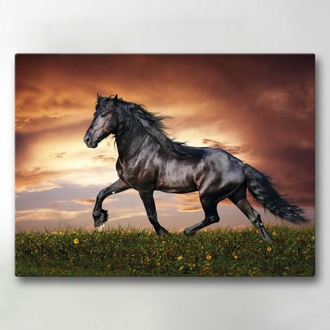 Toile / Peinture - Cheval - 40x30 cm - Toile (1/5)