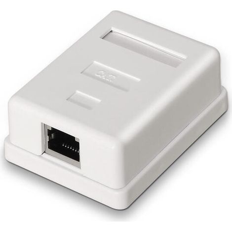 A139-0303 caja de conexiones de red Cat6 Blanco (1/4)