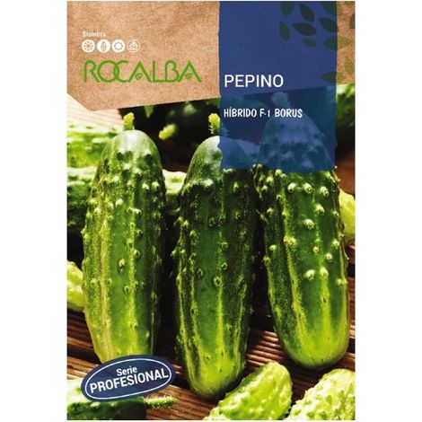 Rokalba Pepino Borus F-1