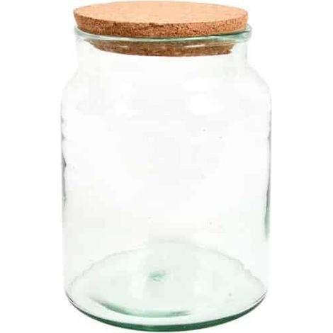 Bouteille terrarium avec couvercle - 5 L - Livraison gratuite (1/4)