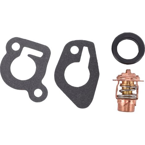 Thermostat hors-bord 5030742, remplacement du liquide de refroidissement du moteur marin pour Suzuki DF DT (1/5)