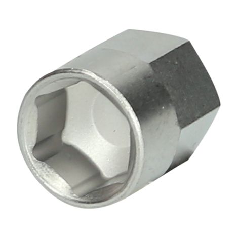 Insert spécial 6 pans avec aimant 10,0 mm (1/5)