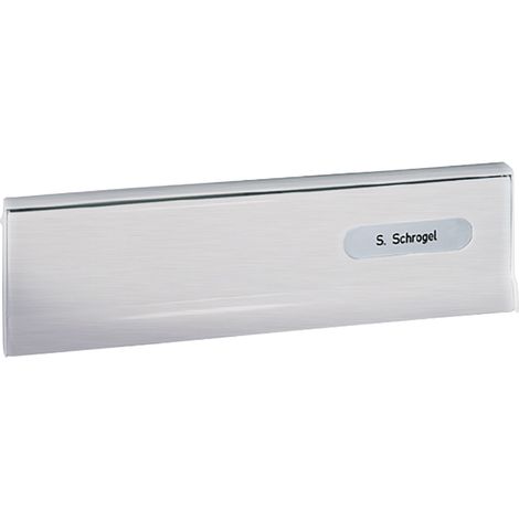 RENZ Einwurfklappe zu Tür-Durchwurfbriefkasten, 260 x 82 mm, silber eloxiert (1/2)