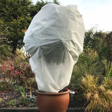 Total Protection Fleece Frost Jacket for Plants, Trees & Shrubs – 2m wide x 2.5m high (Pack of 3) (1/5)