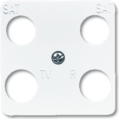 Busch-Jaeger 1743-04-214 Zentralscheibe 50 x 50 mm (1/3)