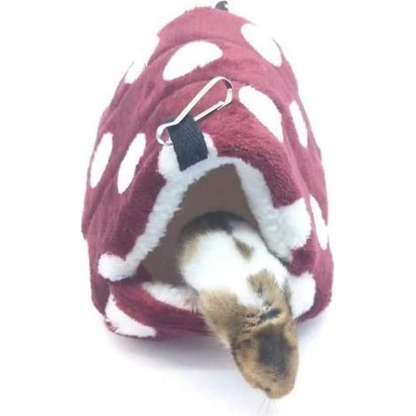 Hamster Hamster Petit Animal (Bordeaux, L)- (1/2)
