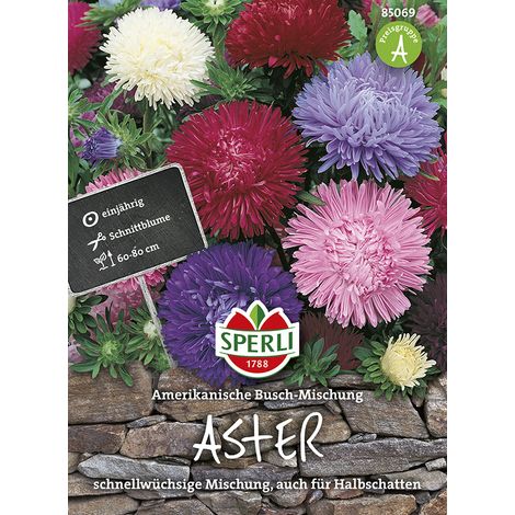 Sperli Sommerastern Amerikanische Buschastern Mischung - Blumensamen (1/2)