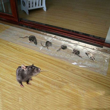 Packung mit 6 unsichtbaren 1,2 m langen klebrigen Rattenaufklebern (1/4)