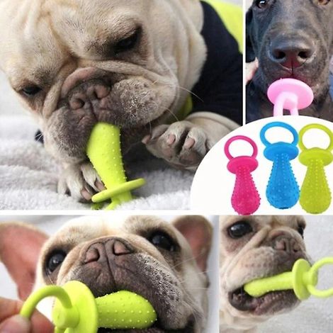 Jouets pour petits chiens : jouet en caoutchouc résistant aux morsures, pour le nettoyage des dents et l'entraînement à la mastication (lot de 3, couleurs aléatoires). Épine molaire. (1/2)