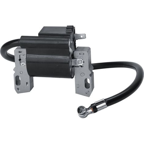 Module de bobine d'allumage compatible avec Briggs & Stratton 591420 398593 496914 793281 793295 (1/5)