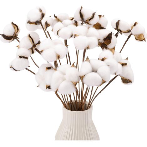 Tiges De Coton Artificielles - Branches Réalistes En Fibre Naturelle - Pour Décoration Maison Mariage Bricolage - Lot De 20 Pièces (1/5)