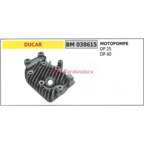 Testa cilindro Albero motore DUCAR motore motopompa DP 25 40 038615