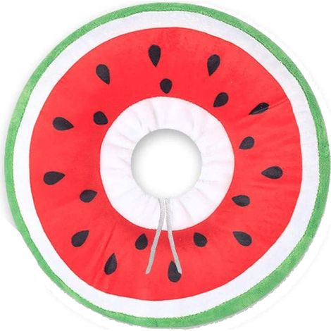 Collier De Protection Pour Chat - Collier De Récupération Réglable En Forme De Donut - Pour Chats Et Chiens Petits - Taille L (1/5)