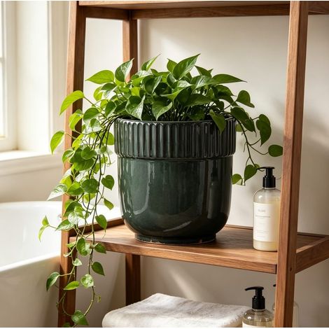 Vaso da fiori in ceramica Ø 30,5 cm per interni ed esterni, con foro di drenaggio, verde scuro lucido. (1/5)