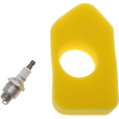 Jardiaffaires – Bougie d'allumage avec filtre à air pour Briggs & Stratton – Compatible MTD – Dimensions filtre 130x73x38mm – Remplace RJ19LM, 698369