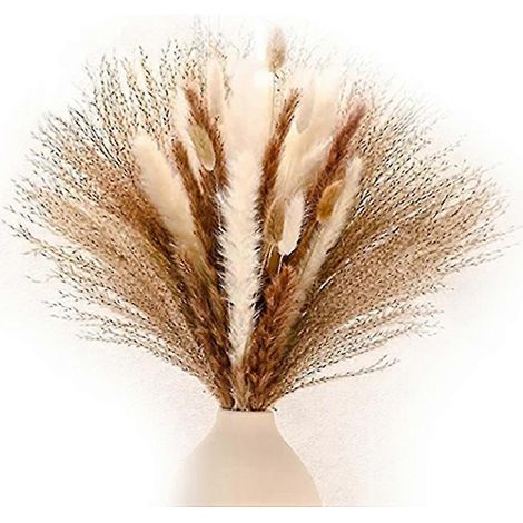 Herbe de Pampa 120 pouces, 17.5 pièces, fleurs séchées naturelles, décoration Boho pour la maison, plantes naturelles pour mariage (1/5)