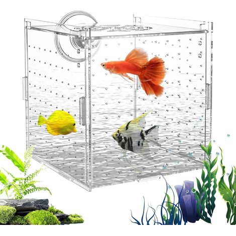 Acryl-Aquarium-Zuchtbox, 10 cm transparenter isolierter Behälter, Trennwand für Guppy-, Betta- und Garnelenbrut (1/5)