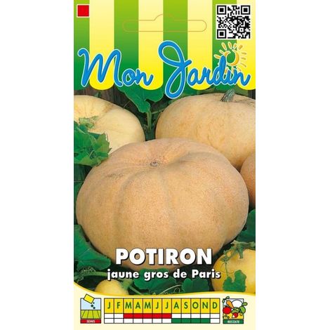 Potiron jaune Gros de Paris - 7g