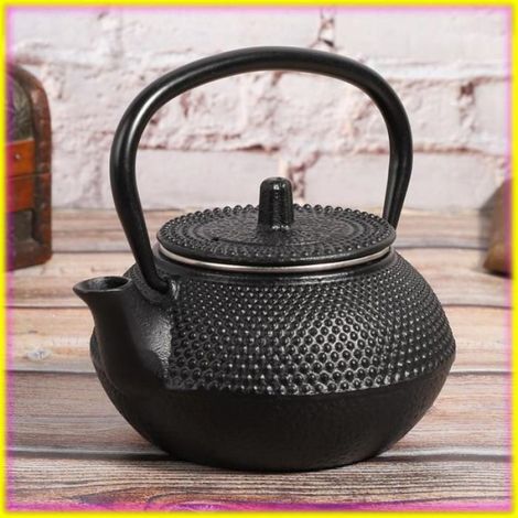 Théière en Fonte Bouilloire en Fer de Style Japonais de 0,3 L avec Passoire et Couvercle pour Usage Domestique en Salon de thé (1/4)
