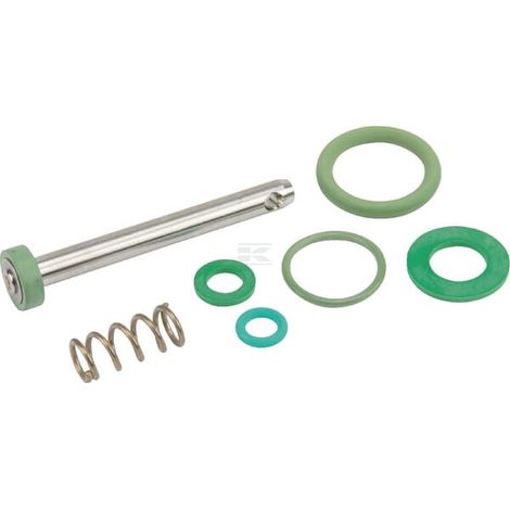 Kit juntas br.ext. Viton (10B) BIRCHMEIER 11664910 (1/2)