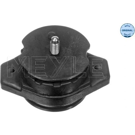 Suspension, boîte automatique Meyle 100 130 0005 VW 701 399 201 H
