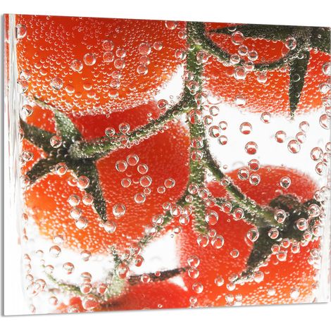 PANEL DE VIDRIO PARA COCINA 65x60 Tomate (1/5)