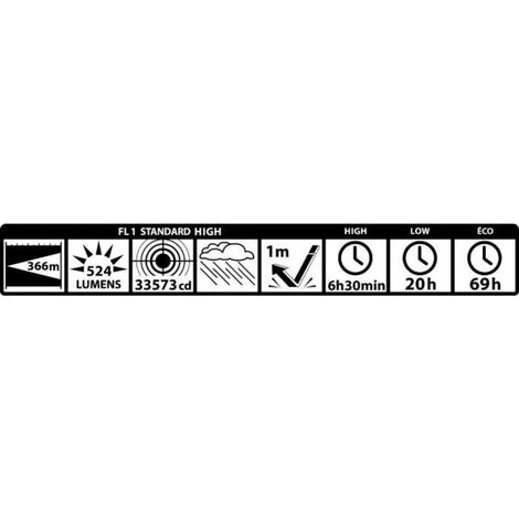 (Noir)MAGLITE Lampe Torche ML300 2D LED 524LUM