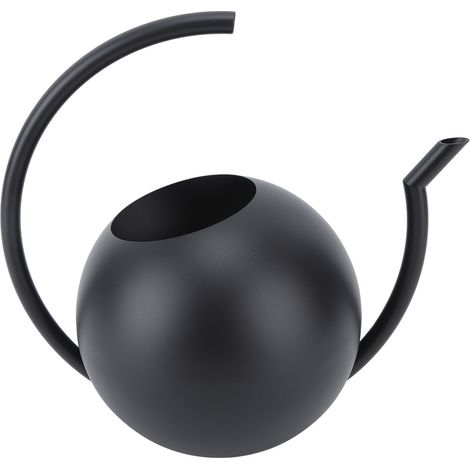 Arrosoir à long bec en acier inoxydable, outil d'arrosage pour plantes, jardin intérieur et extérieur, noir (1/5)
