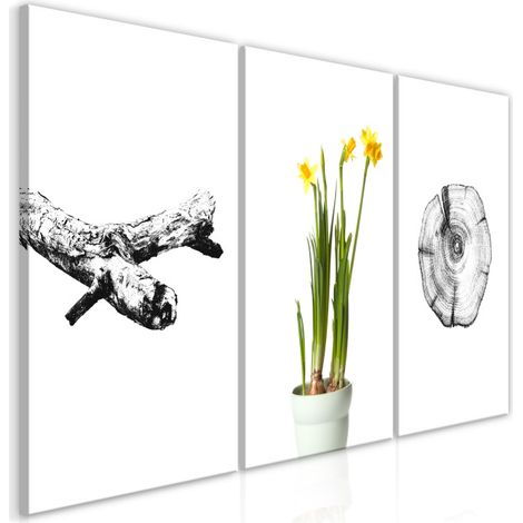 Tableau Imprimé "Nature Collection" 30 x 60 cm (1/2)