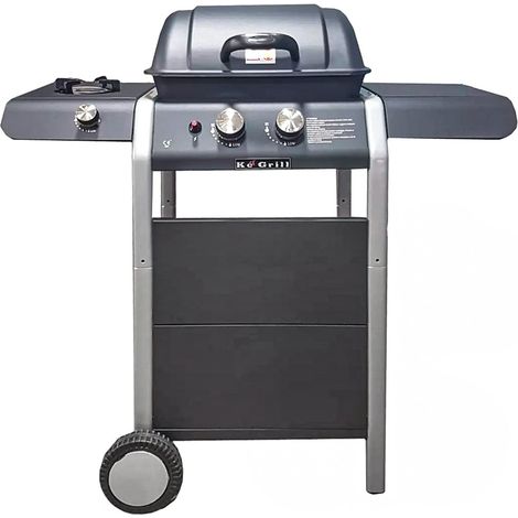 Barbecue a gas con due bruciatori in acciaio e coperchio (1/4)