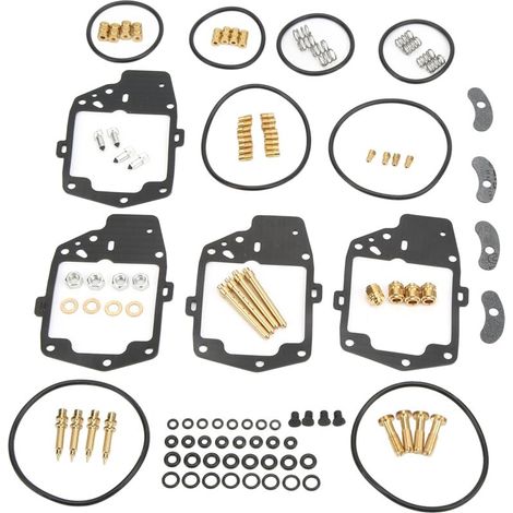 Kit di revisione del carburatore da 118 pezzi, comprensivo di O-ring, valvola, spillo, vite di regolazione e molla di ricambio per Goldwing 1000 GL1000-Crezuo