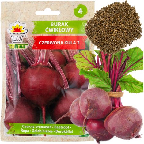 W0012 BOULE DE BETTERAVE ROUGE 2 10G GRAINES DE BETTERAVE ROUGE (1/5)