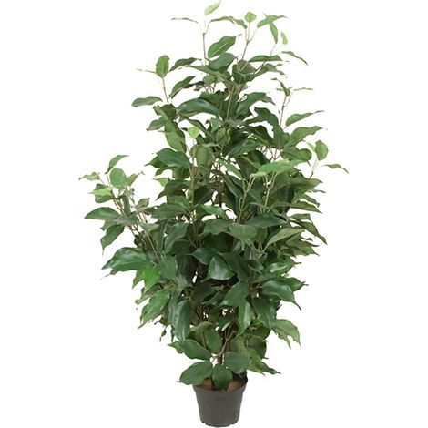 Ficus Benjamina artificiel en pot, H 80 cm, D 43 cm