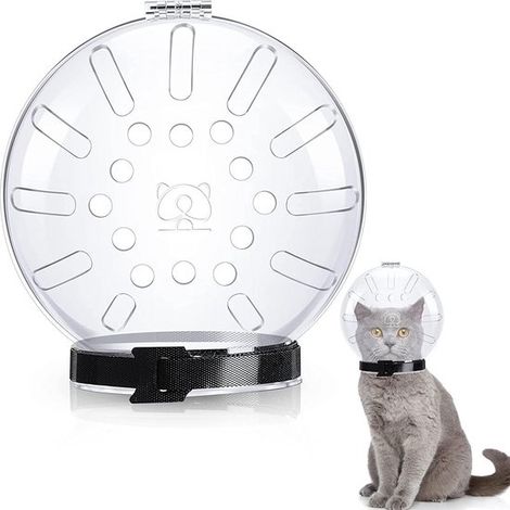 Muselière respirante transparente pour chat - Casque d'astronaute anti-morsure - Muselière ajustable pour chaton (1/5)
