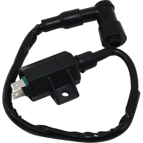 Bobine d'allumage haute tension compatible avec/remplacement pour Kaawwaassaakkii ATV 21121-1160 21121-1198 KLF220 (1/4)