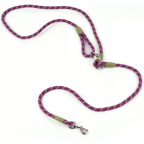 Freihändige Hundeleine aus Nylon, ideal für Training und Spaziergänge. Reflektierende Nähte, verstellbarer Schultergurt, geeignet für kleine, mittlere und große Hunde. (1/4)