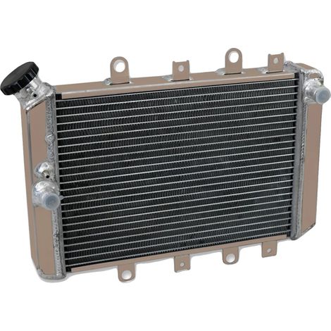 Radiador de aluminio con mayor eficiencia de refrigeración, compatible con Yamaha Grizzly/Kodiak 700 EPS, diseño ligero y construcción duradera. (1/5)