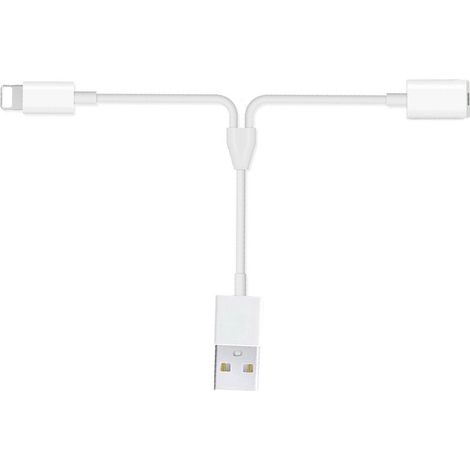 Câble de charge multifonction 2-en-1 pour crayon IOS, compatible avec iPhone Pro, chargeur USB et câble de données pour accessoires. (1/5)